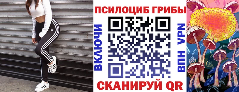 где купить   Харовск  Псилоцибиновые грибы мицелий 